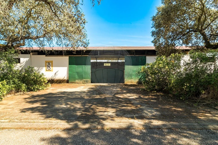 Moradia T4 para Venda em Bacelo e Senhora da Saúde Foto 8