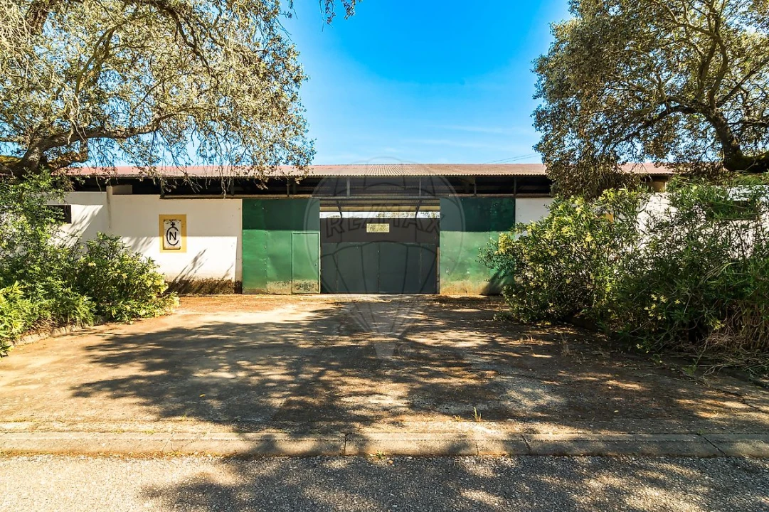 Moradia T4 para Venda em Bacelo e Senhora da Saúde Foto 8