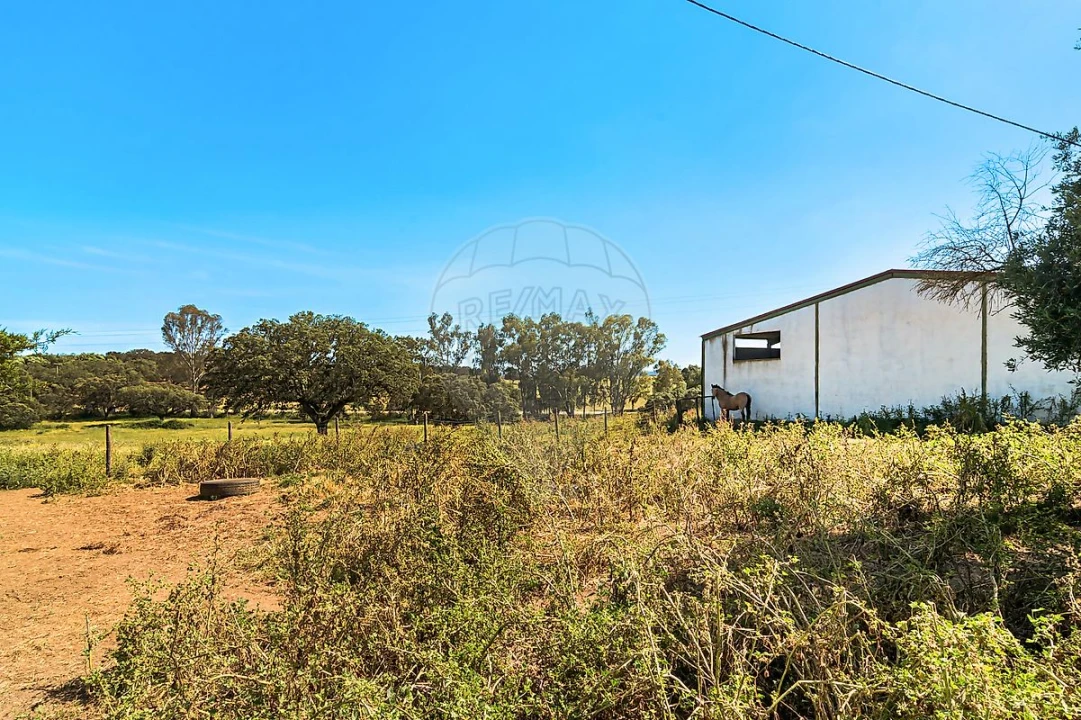 Moradia T4 para Venda em Bacelo e Senhora da Saúde Foto 17