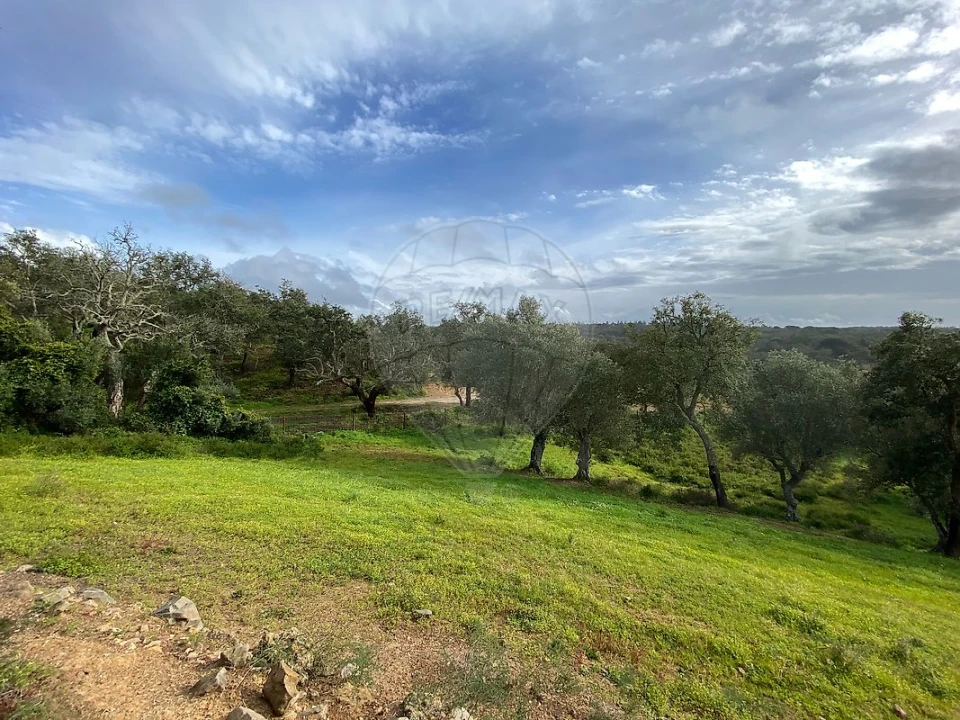 Terreno para Venda em Melides Foto 12