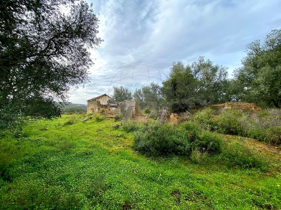 Terreno para Venda em Melides Foto 2