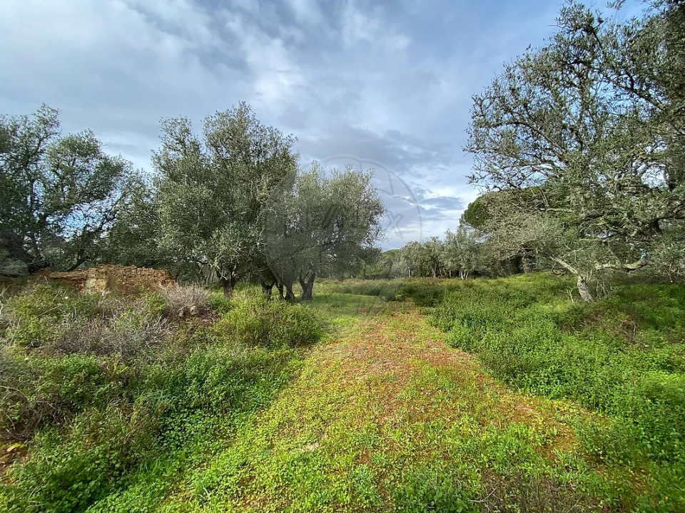 Terreno para Venda em Melides Foto 4