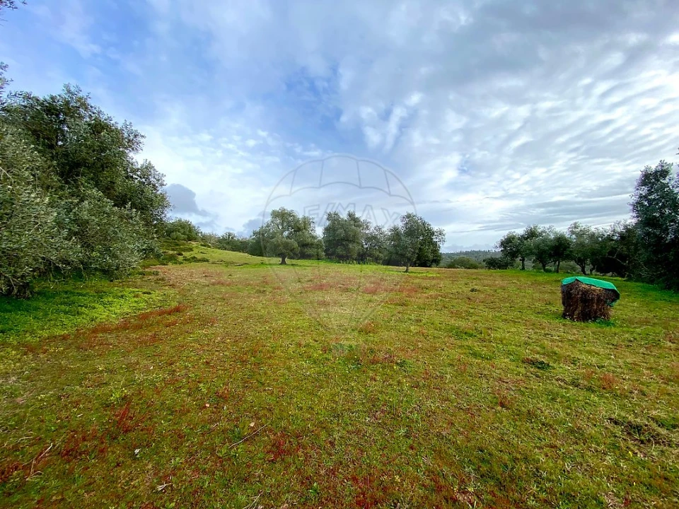 Terreno para Venda em Melides Foto 8