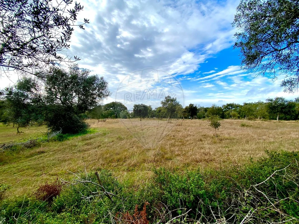 Terreno para Venda em Melides Foto 6