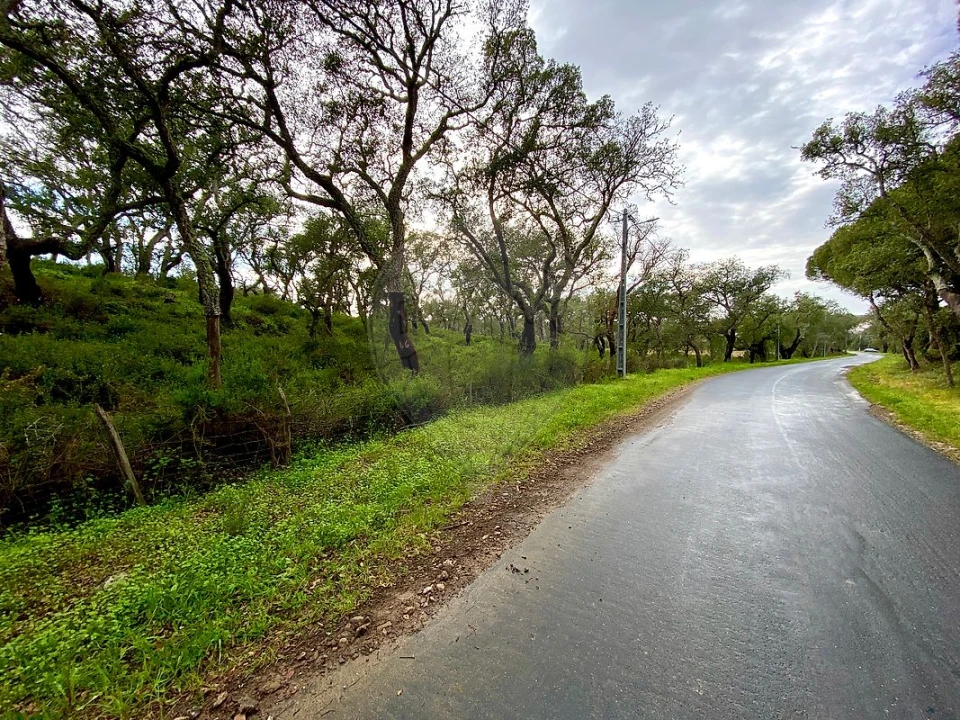 Terreno para Venda em Melides Foto 14