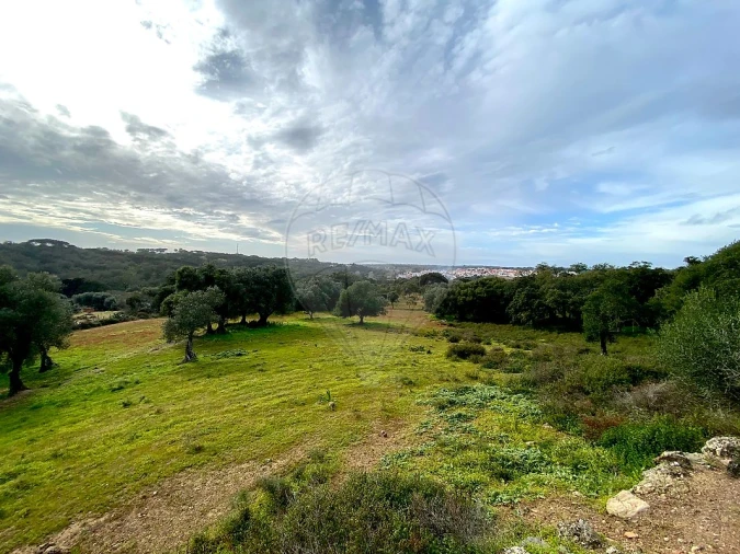 Terreno para Venda em Melides Foto 15