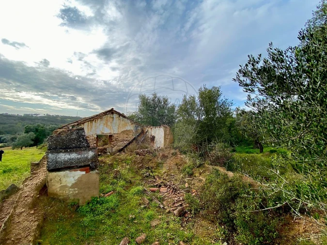 Terreno para Venda em Melides Foto 3