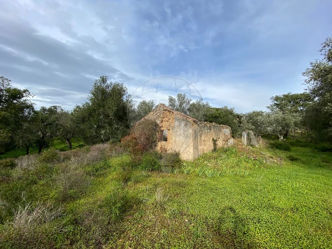 Terreno para Venda em Melides