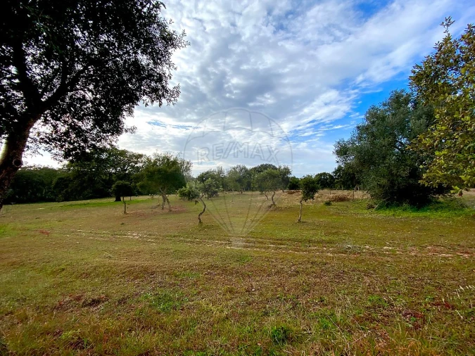 Terreno para Venda em Melides Foto 7