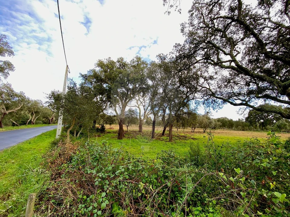 Terreno para Venda em Melides Foto 11