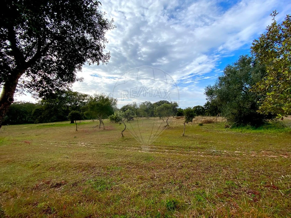 Terreno para Venda em Melides Foto 7