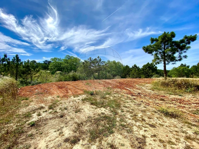 Terreno para Venda em Sesimbra (Castelo) Foto 5