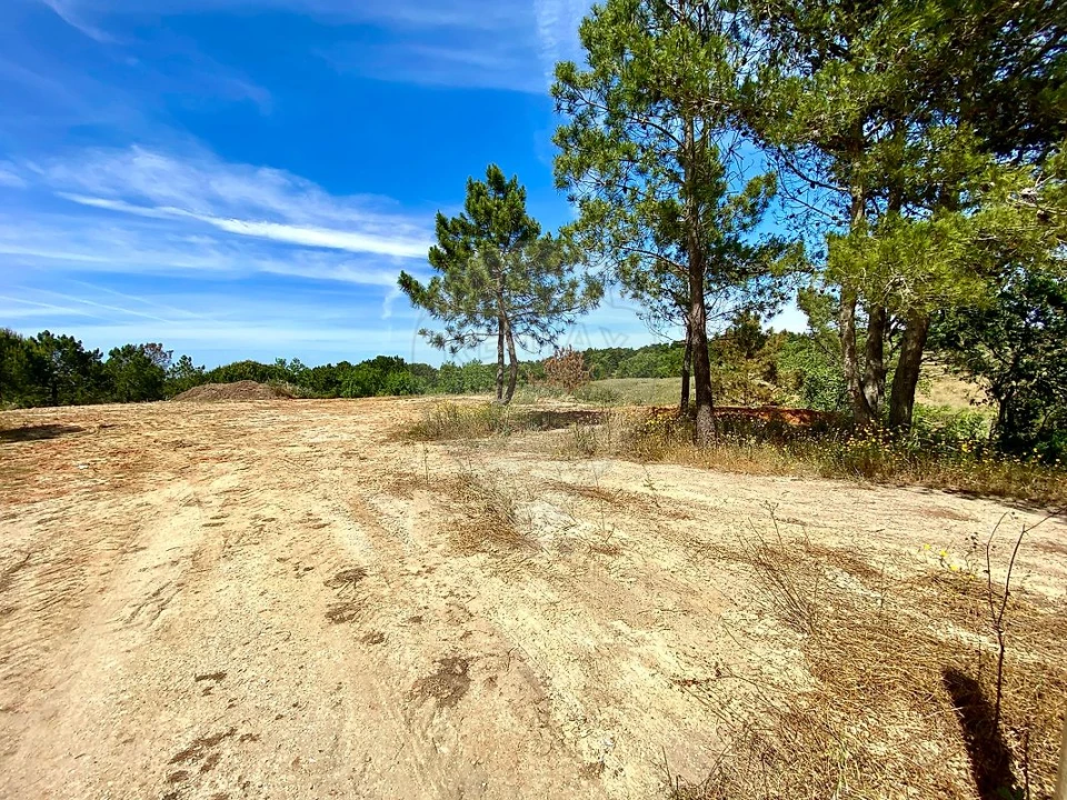 Terreno para Venda em Sesimbra (Castelo) Foto 10