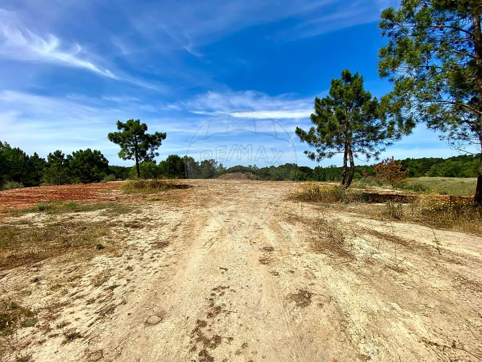 Terreno para Venda em Sesimbra (Castelo) Foto 9