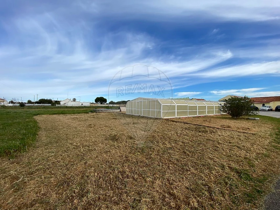 Quinta T
           para Venda em Palmela Foto 10