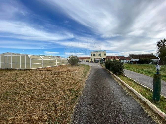 Quinta T
           para Venda em Palmela Foto 11