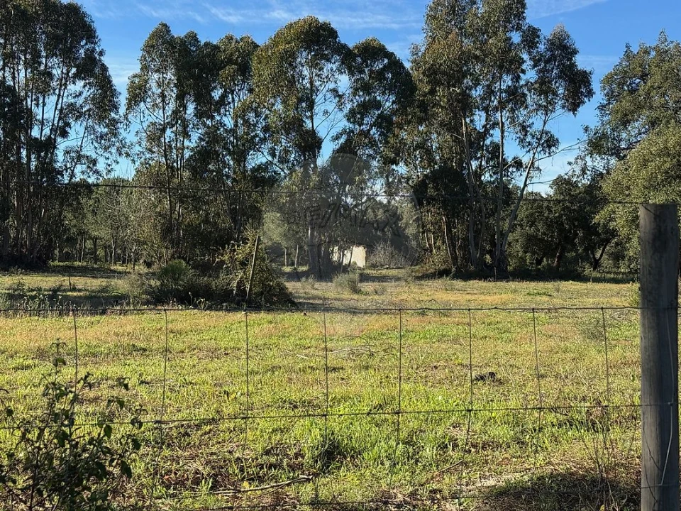 Terreno para Venda em Poceirão e Marateca Foto 3