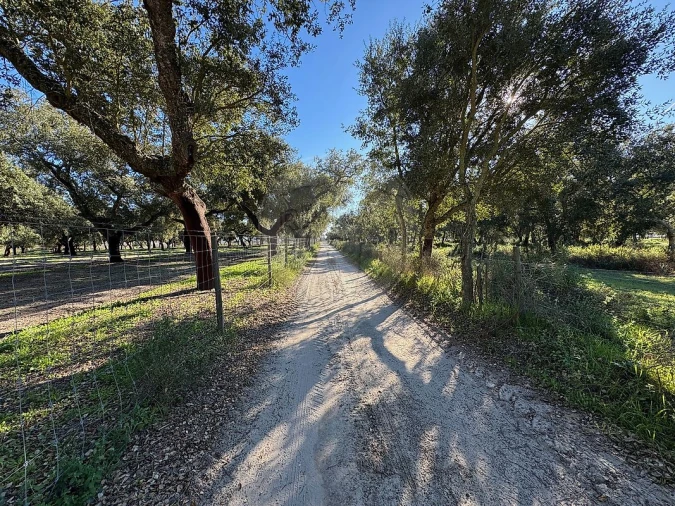 Terreno para Venda em Poceirão e Marateca Foto 4