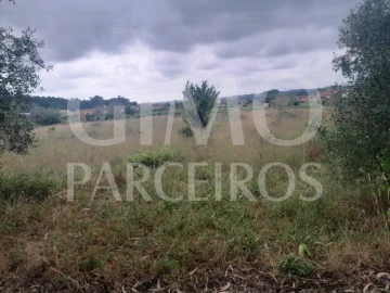 Terreno para Venda em Oiã