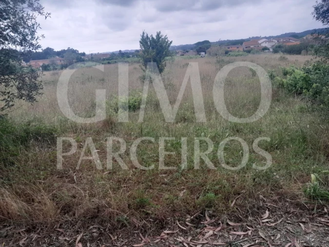 Terreno para Venda em Oiã Foto 2