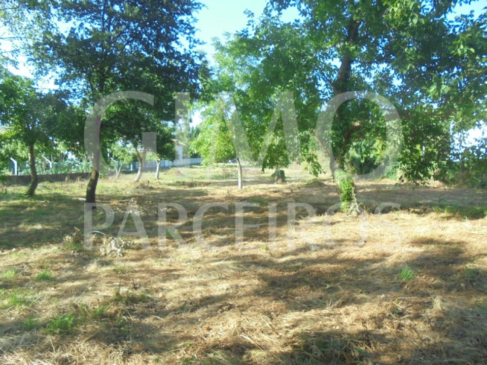 Terreno para Venda em Sangalhos Foto 1