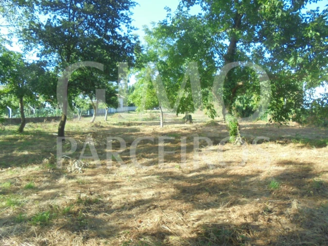 Terreno para Venda em Sangalhos Foto 1