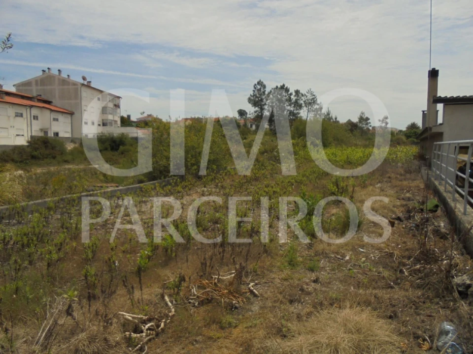 Terreno para Venda em Oliveira do Bairro Foto 1