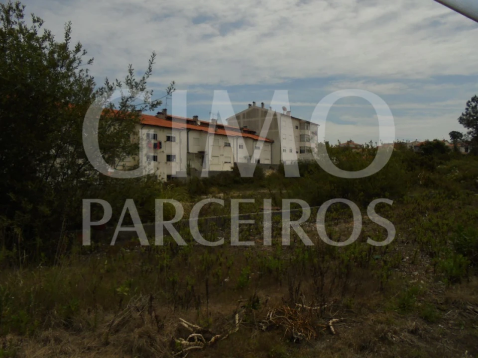 Terreno para Venda em Oliveira do Bairro Foto 3