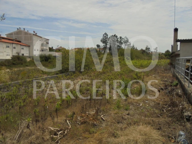 Terreno para Venda em Oliveira do Bairro
