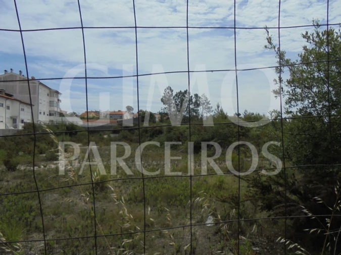 Terreno para Venda em Oliveira do Bairro Foto 2