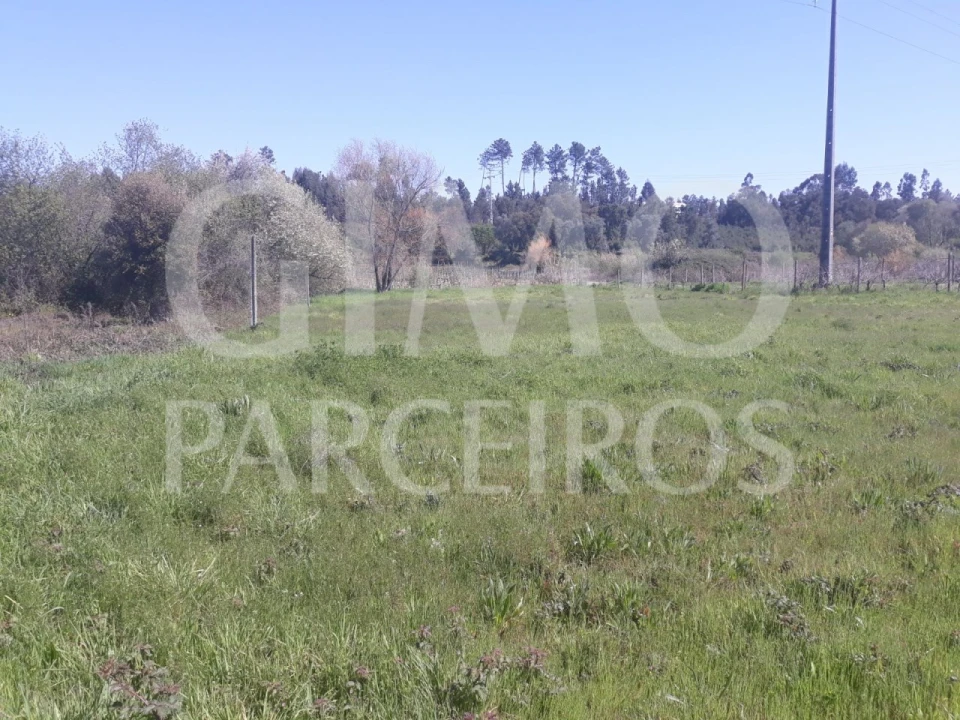 Terreno para Venda em Arcos e Mogofores Foto 1