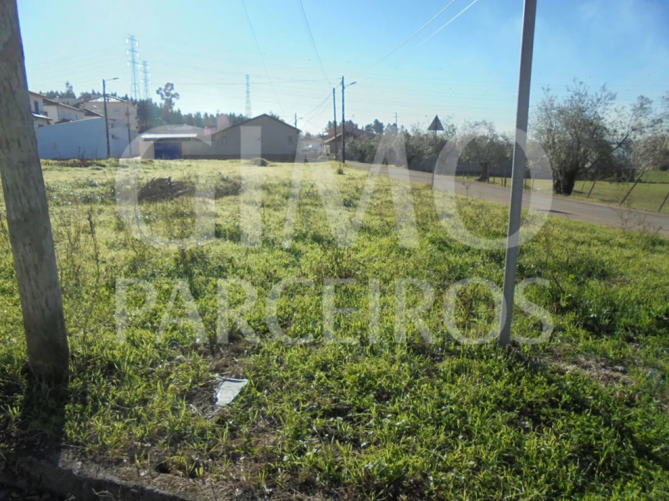 Terreno para Venda em Avelãs de Caminho Foto 2