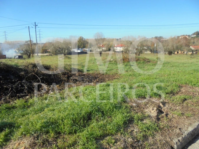 Terreno para Venda em Avelãs de Caminho Foto 1