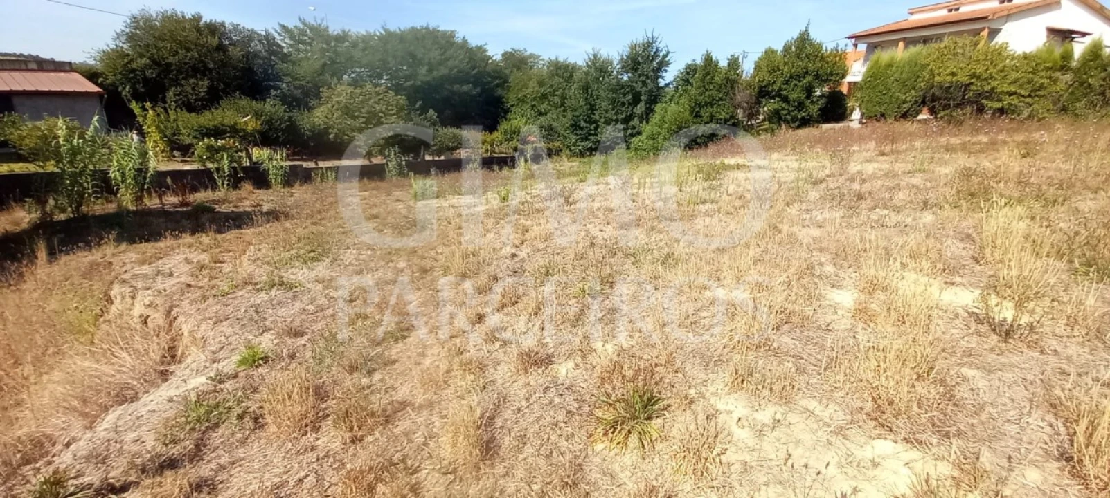 Terreno para Venda em Oliveira do Bairro Foto 4