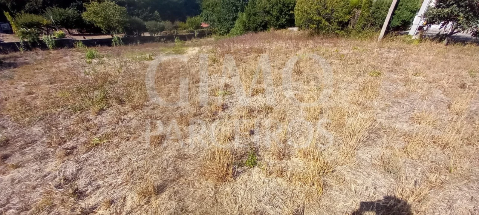 Terreno para Venda em Oliveira do Bairro Foto 7