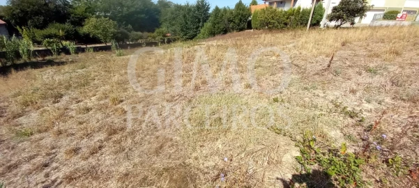 Terreno para Venda em Oliveira do Bairro
