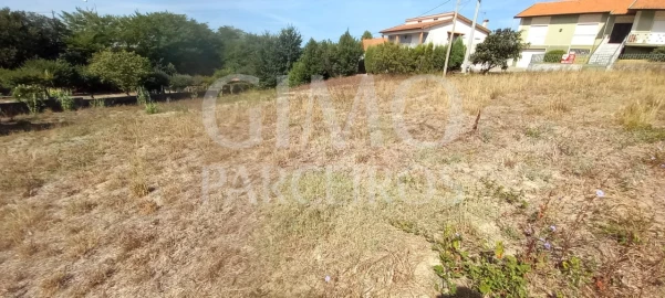 Terreno para Venda em Oliveira do Bairro