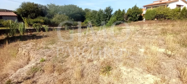 Terreno para Venda em Oliveira do Bairro