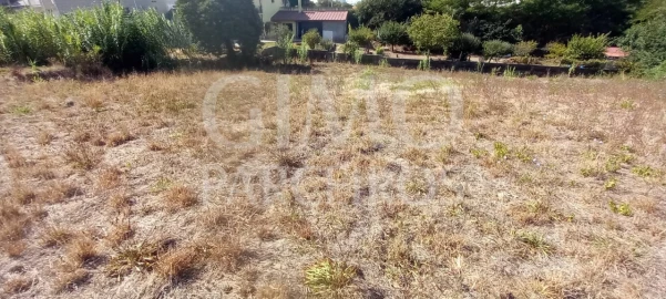 Terreno para Venda em Oliveira do Bairro