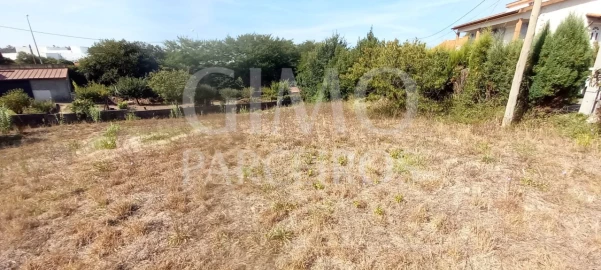Terreno para Venda em Oliveira do Bairro