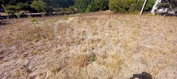 Terreno para Venda em Oliveira do Bairro