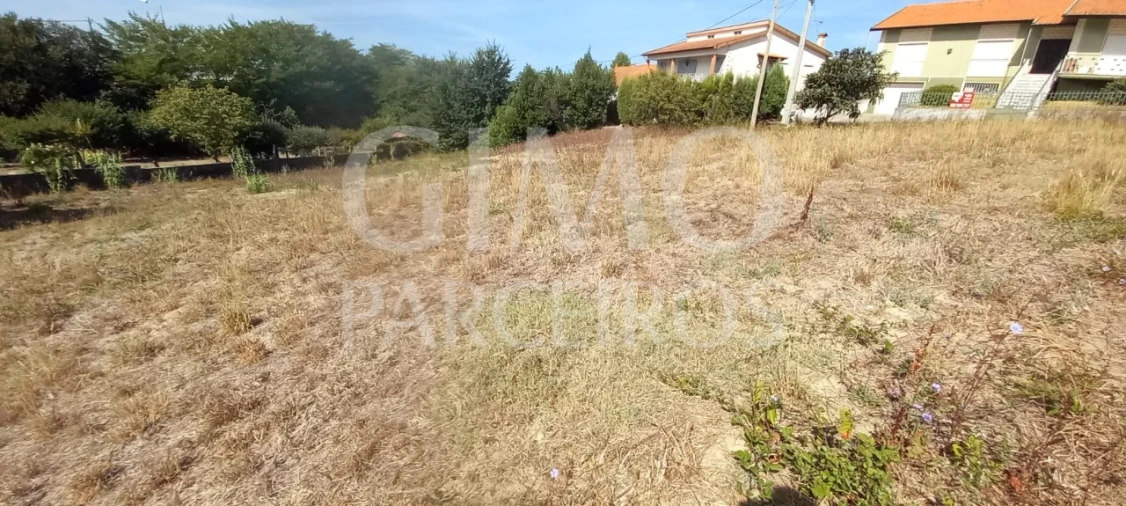 Terreno para Venda em Oliveira do Bairro Foto 3