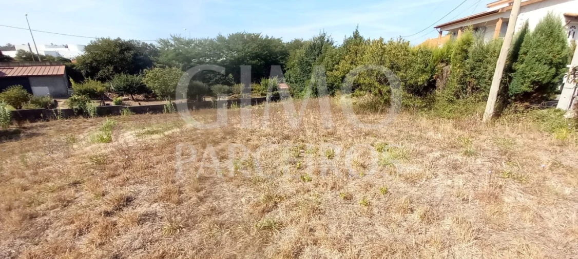 Terreno para Venda em Oliveira do Bairro Foto 6