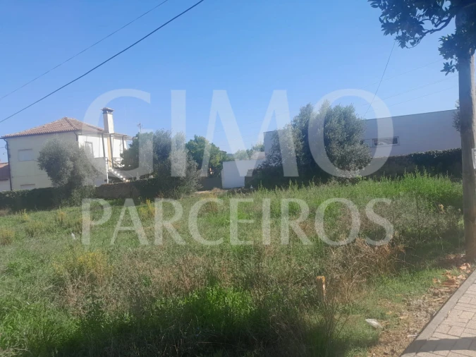 Terreno para Venda em Arcos e Mogofores Foto 4