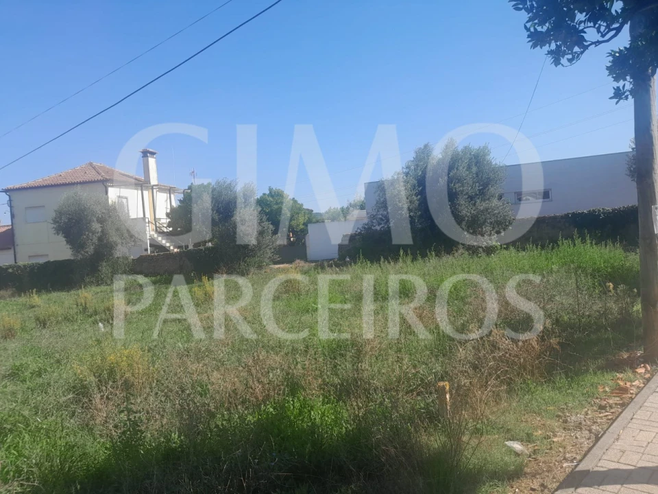 Terreno para Venda em Arcos e Mogofores Foto 4