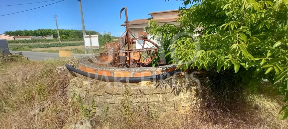 Terreno para Venda em Bustos, Troviscal e Mamarrosa Foto 3
