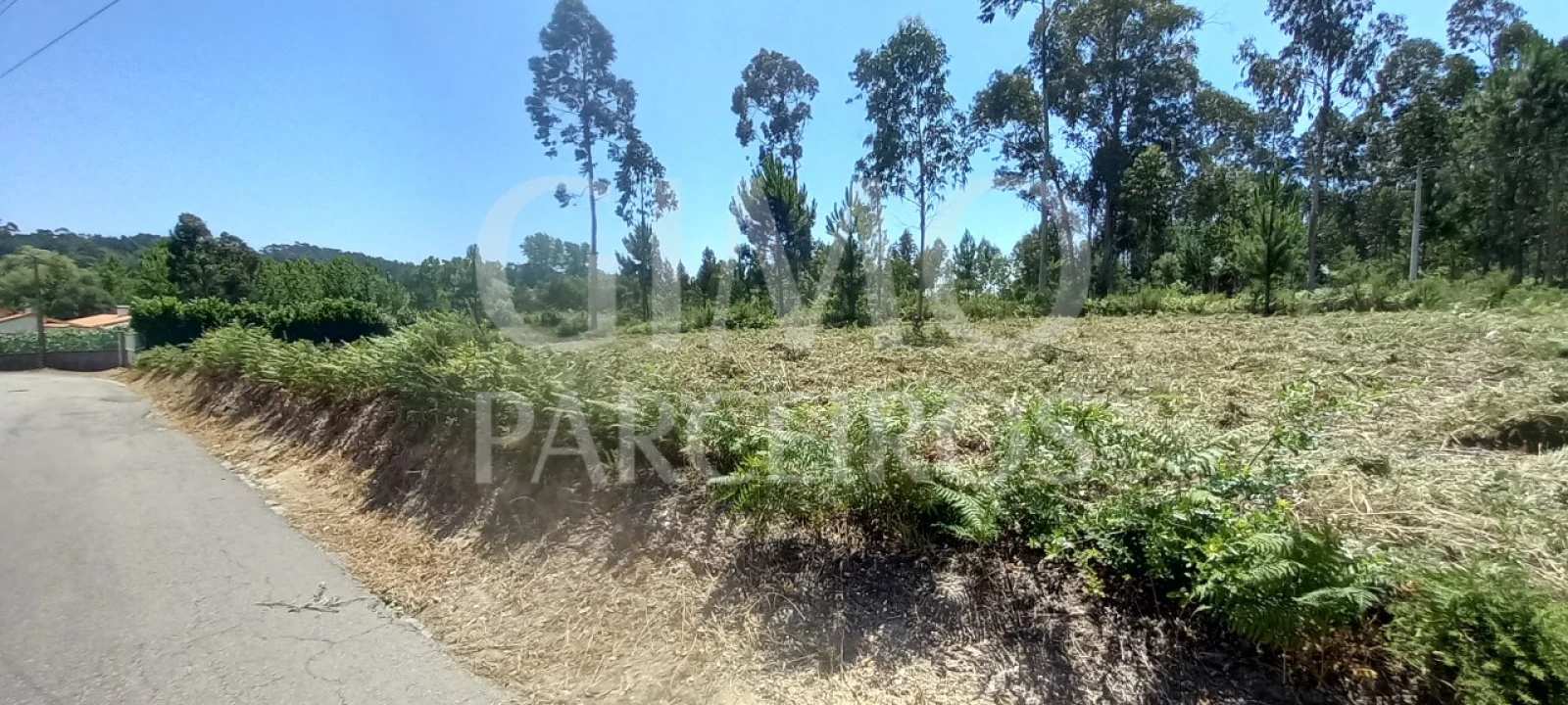 Terreno para Venda em Oliveira do Bairro Foto 10