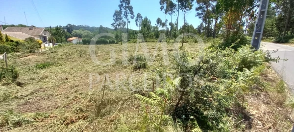 Terreno para Venda em Oliveira do Bairro