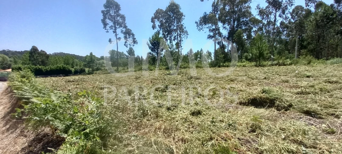 Terreno para Venda em Oliveira do Bairro Foto 3