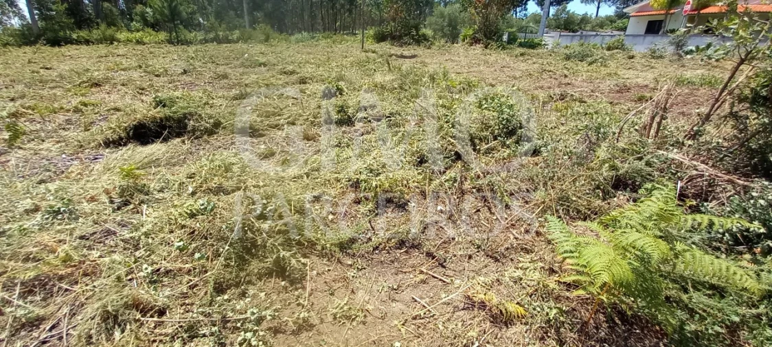 Terreno para Venda em Oliveira do Bairro Foto 8